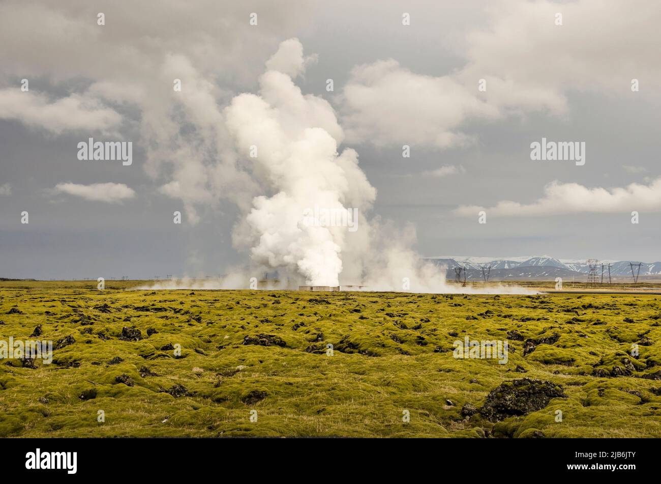 Hengill, Iceland, April 22, 2022: Steam coming out of the ground in a mossy landscape near the Hellisheiði geothermal power plant Stock Photo