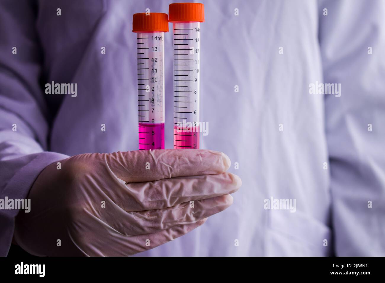 Woman holds two cell tube filled with purple cell medium inside them to the camera Stock Photo