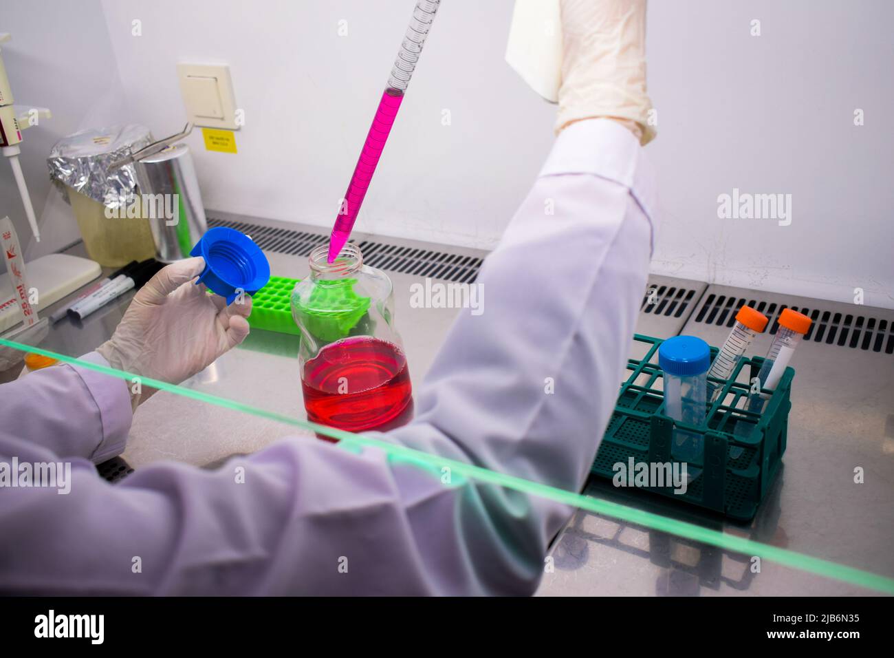 Researcher puts a cell culture medium with a macro pipette inside of