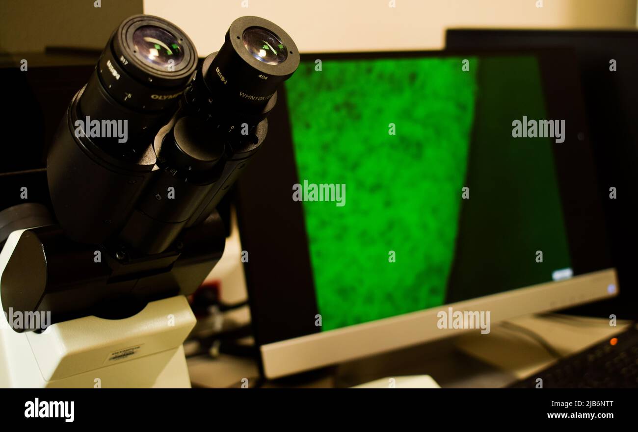 Microscope image of colorful cell in background at the lab Stock Photo ...