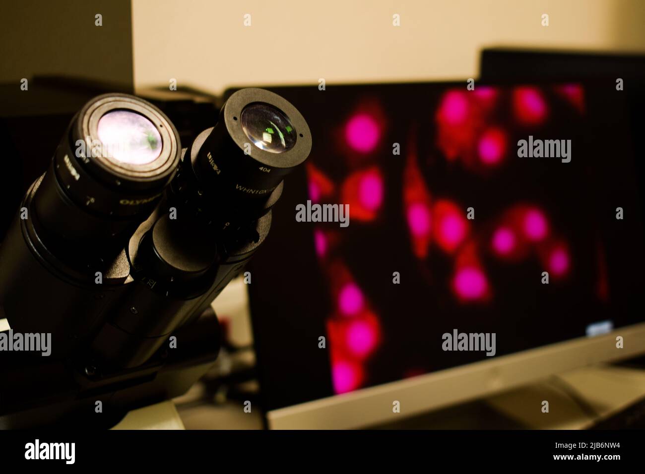 Microscope image of colorful cell in background at the lab Stock Photo ...