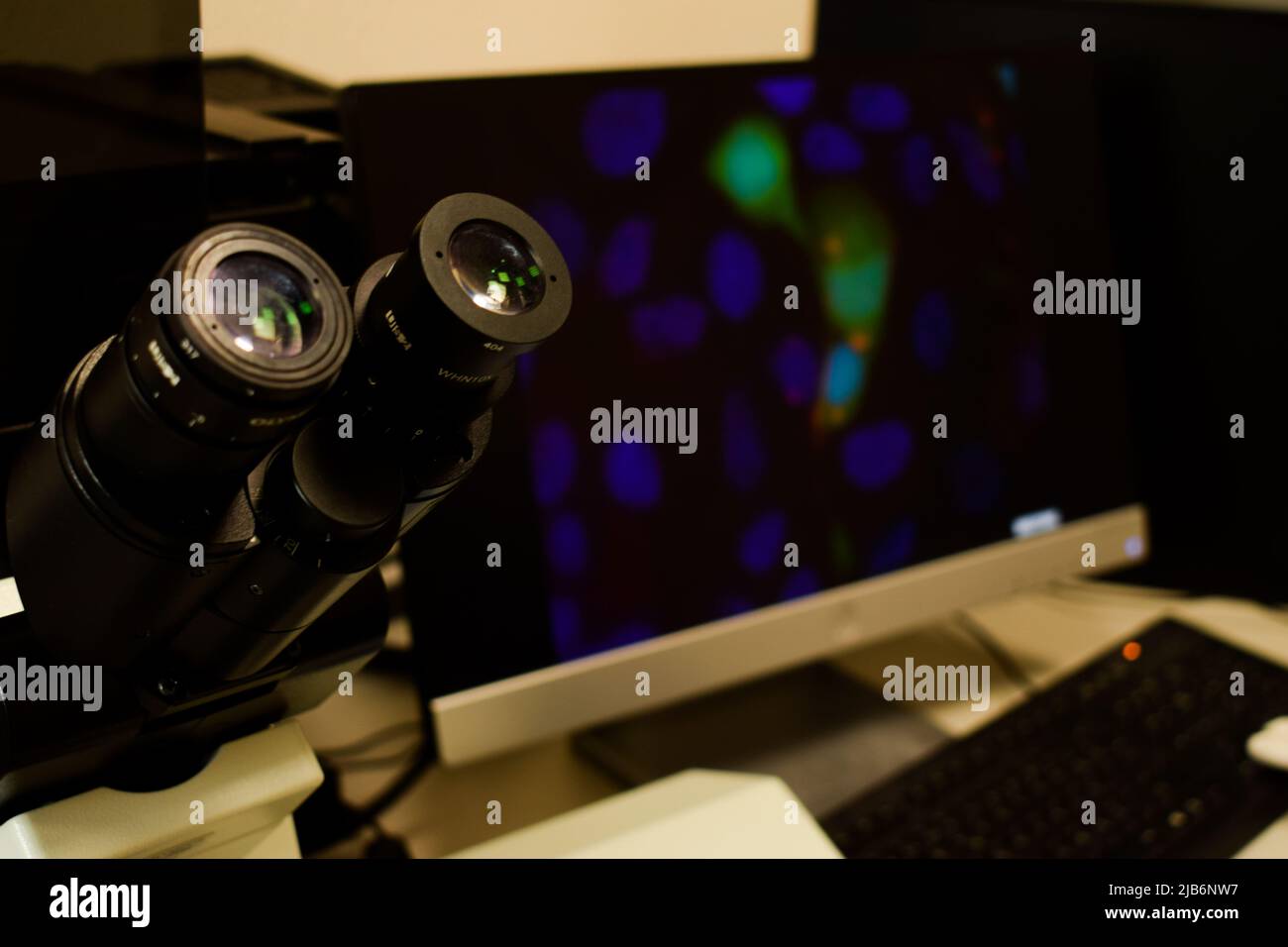 Microscope image of colorful cell in background at the lab Stock Photo ...