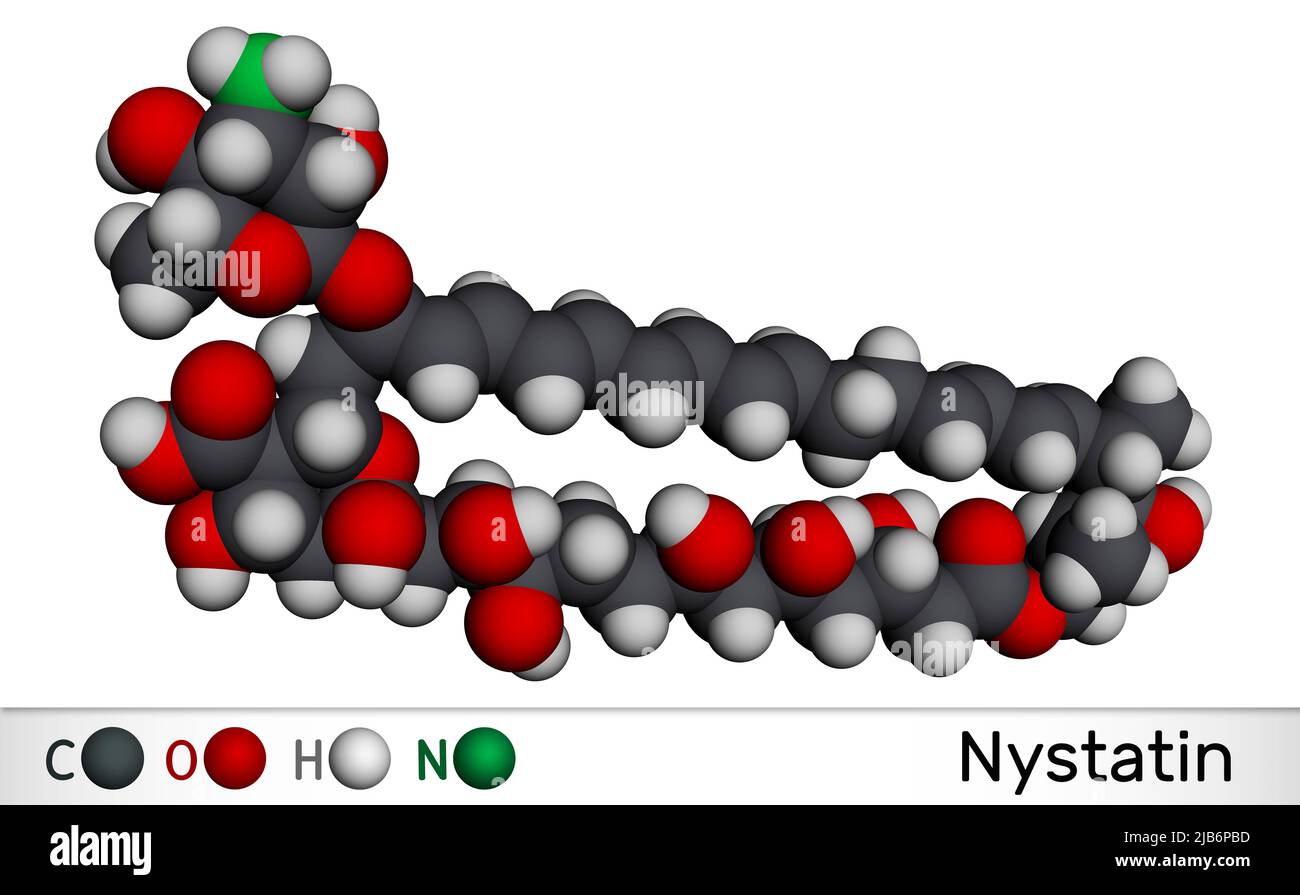 Nystatin molecule. It is antifungal medication for treatment of Candida
