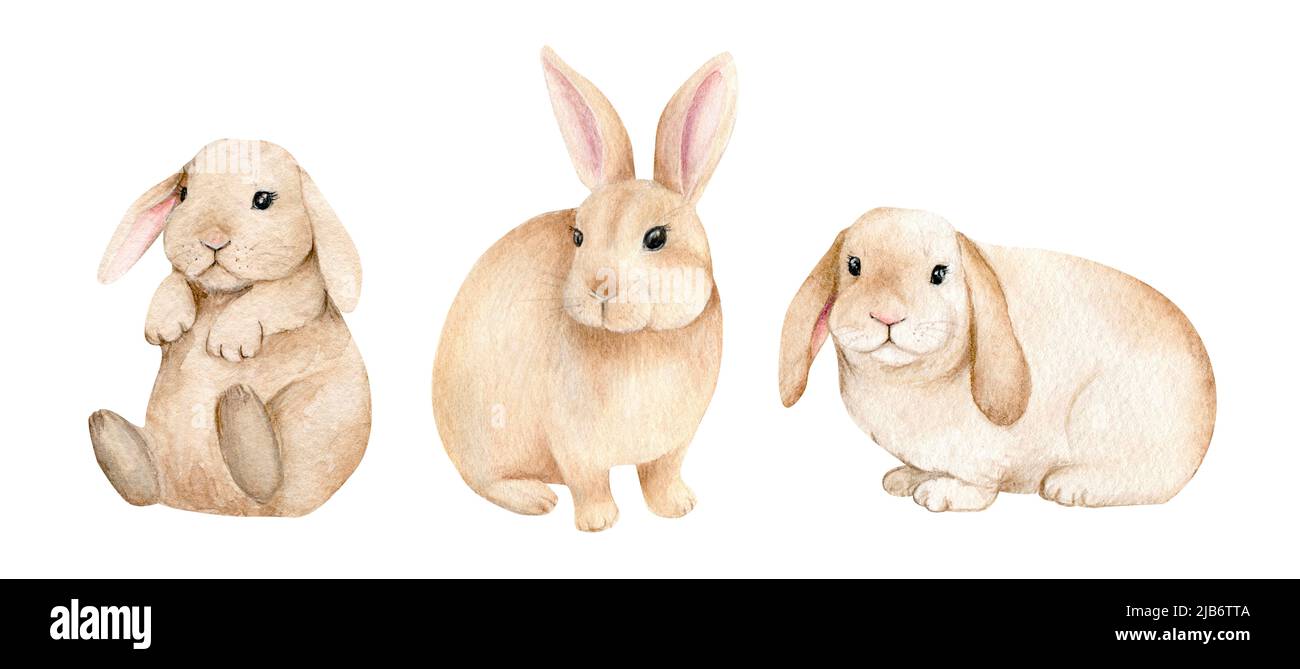 Little bunnies on an isolated white background, watercolor illustration