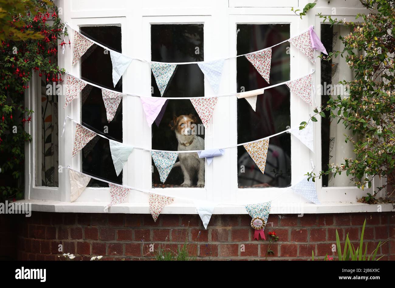 Leicester, Leicestershire, UK. 3rd June 2022.  A dog looks from behind bunting during the Knighton Church Road street party to celebrate the Queen's Platinum Jubilee. Credit Darren Staples/Alamy Live News. Stock Photo