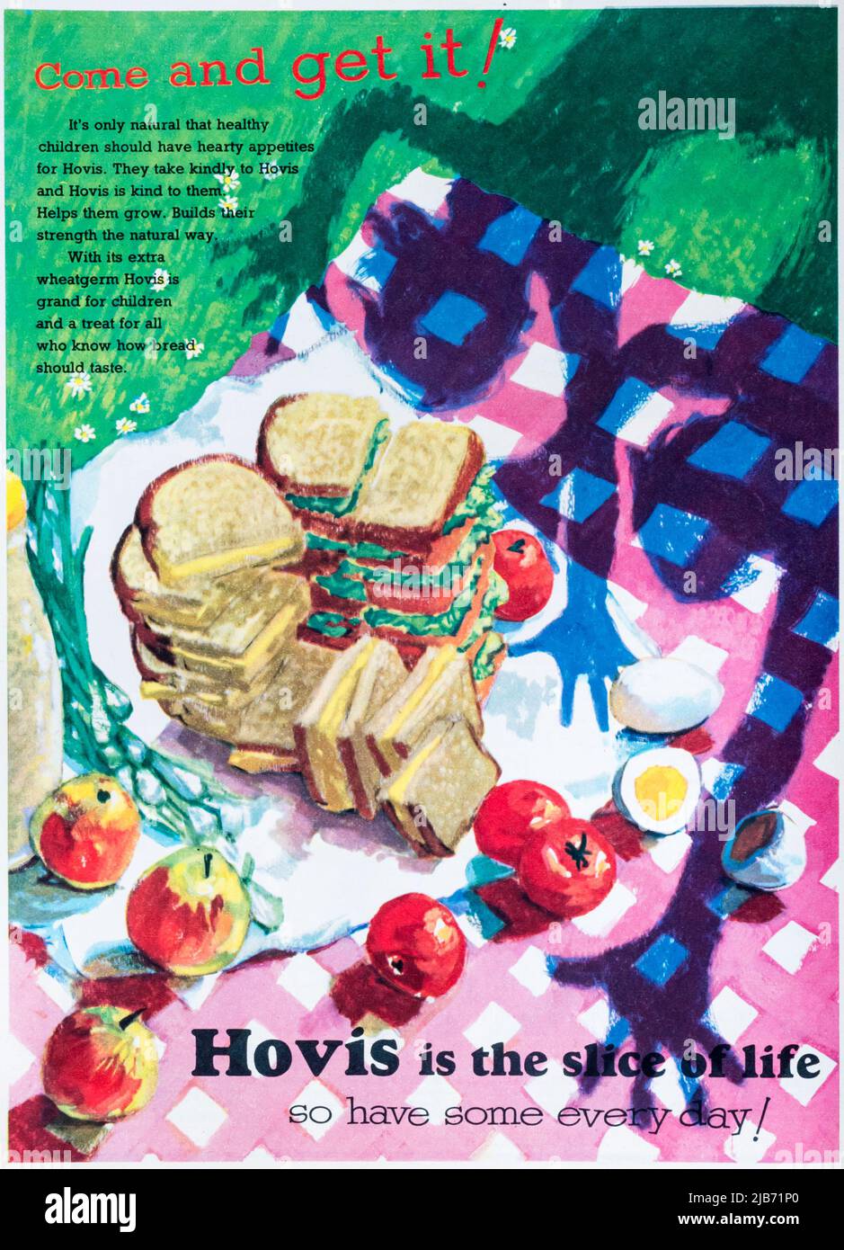 A 1950s magazine advertisement for Hovis bread. Stock Photo