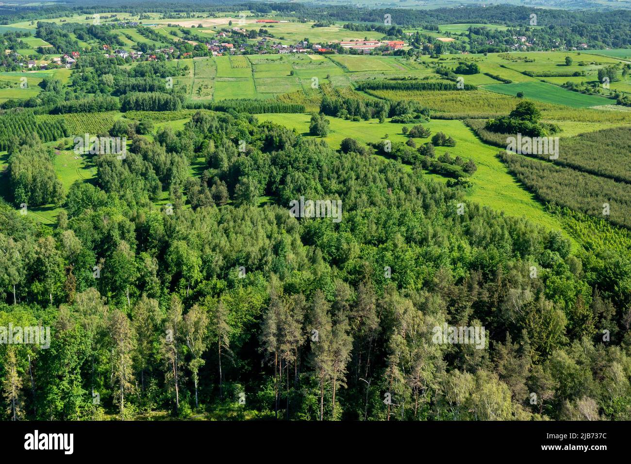 Poland Lesser Voivodeship. Aerial view of village near Krakow, southern Poland. Europe. Stock Photo