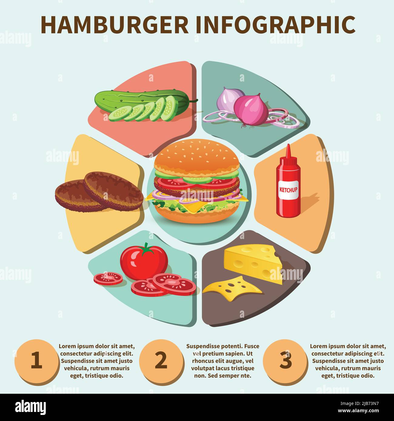 Hamburger sandwich with meat cheese tomato lettuce bun cucumber pie chart infographic vector illustration Stock Vector