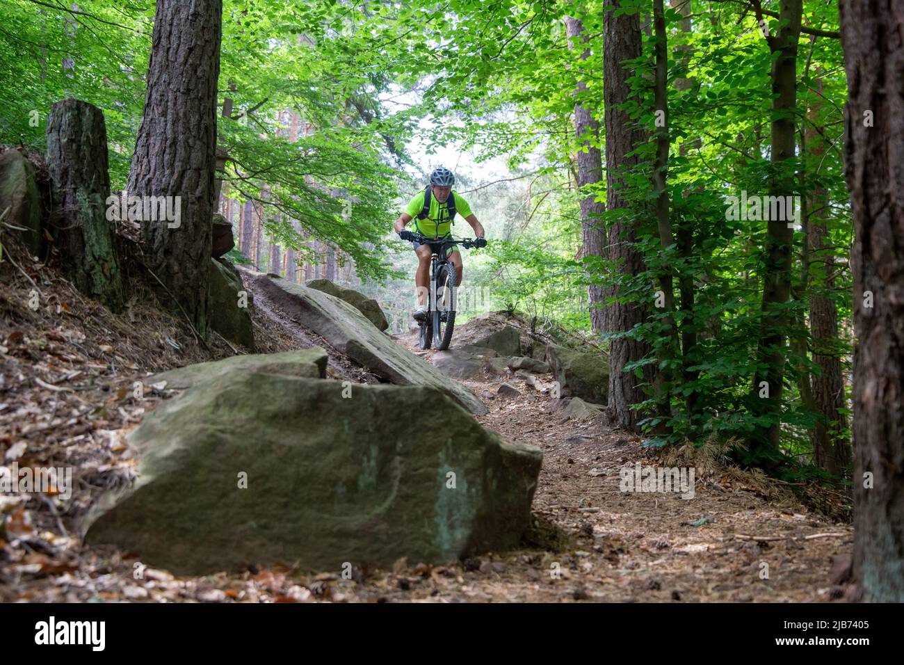 Downhill mountain biker in the Palatinate Forest near Weinbiet in the Palatinate Forest, Germany (model released) Stock Photo