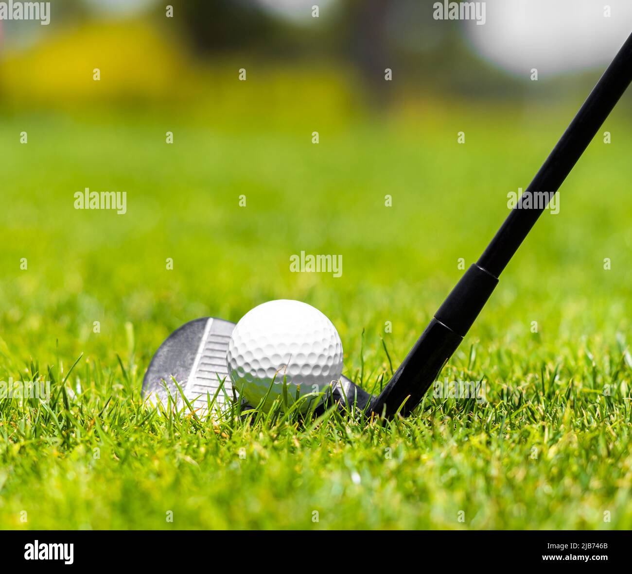 Golf iron club ready to hit a ball on green grass on golf course Stock