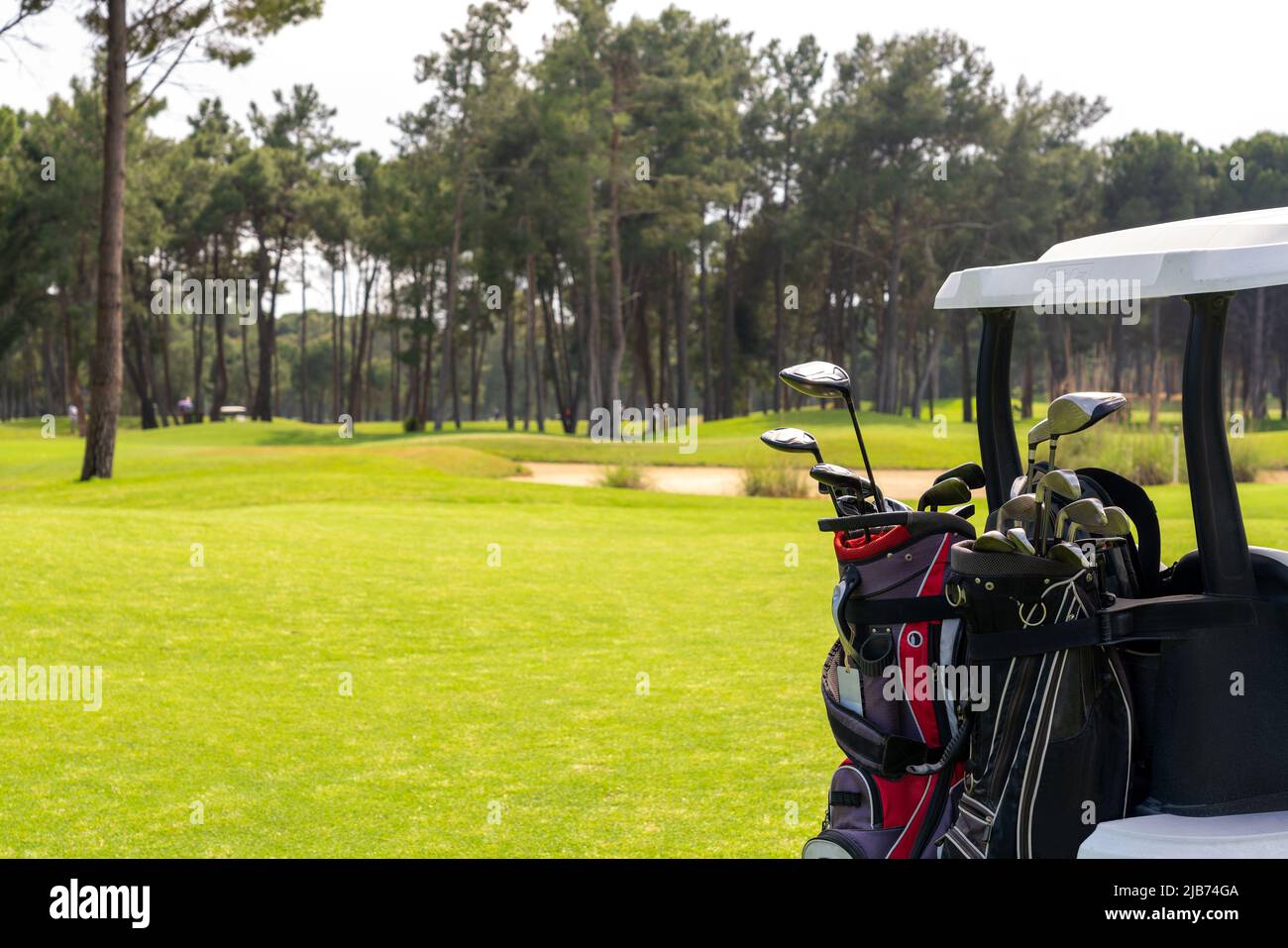 Set of golf clubs in golf bags in the back of a golf cart on a