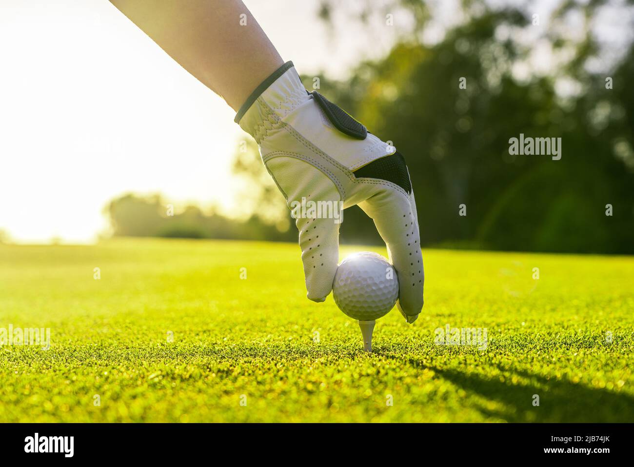Closeup of golfer wearing glove placing golf ball on a tee at golf