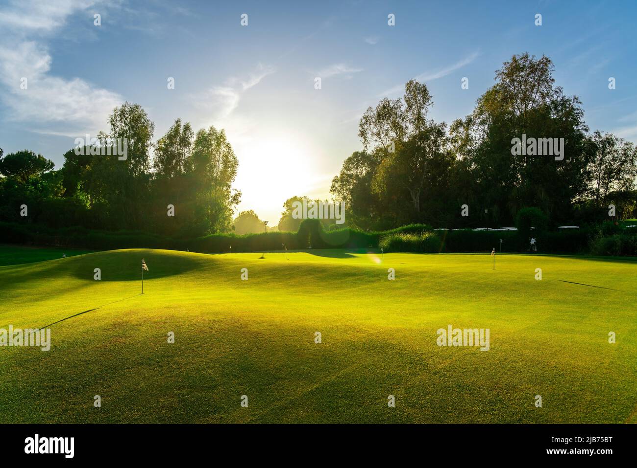 Putting green on golf course to practice the putter golf shot. Training