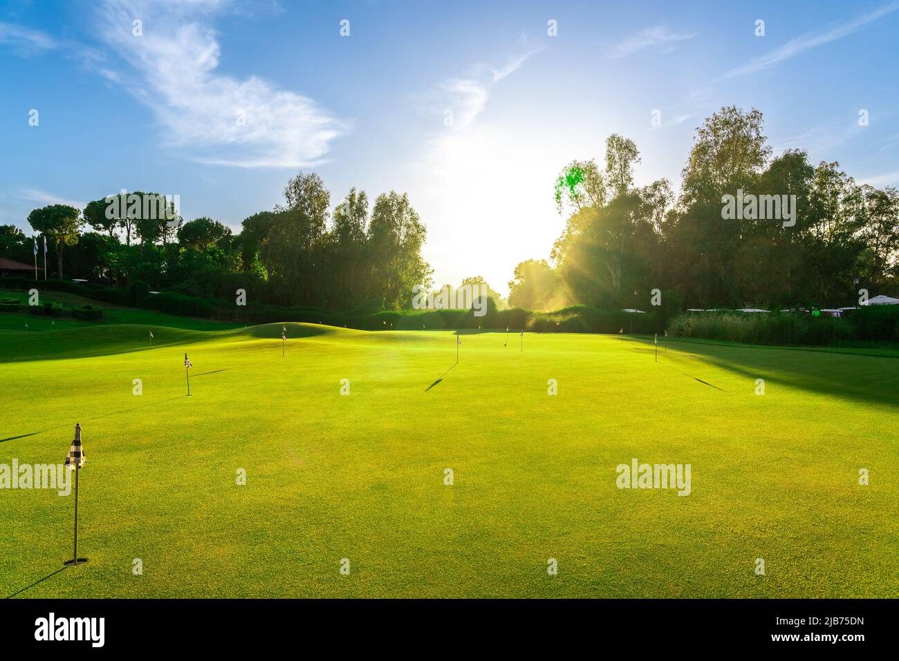 Putting green on golf course to practice the putter golf shot. Training