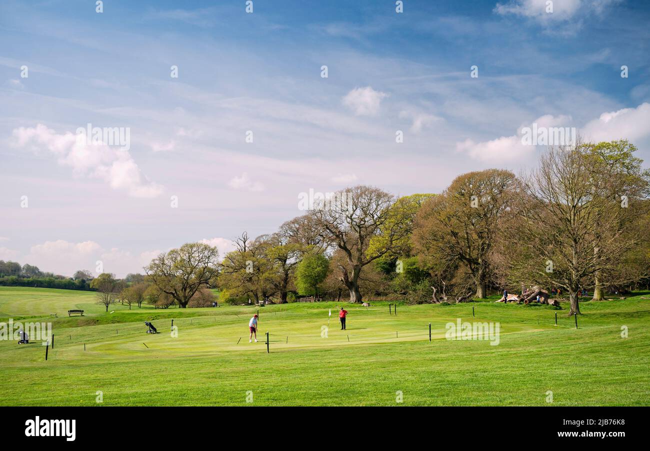 The Westwood public parkland and golf coursese with players flanked by woodland trees on the Westwood in spring. Beverley, UK. Stock Photo