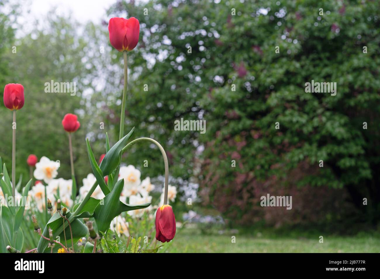 Different stages of life hi-res stock photography and images - Alamy
