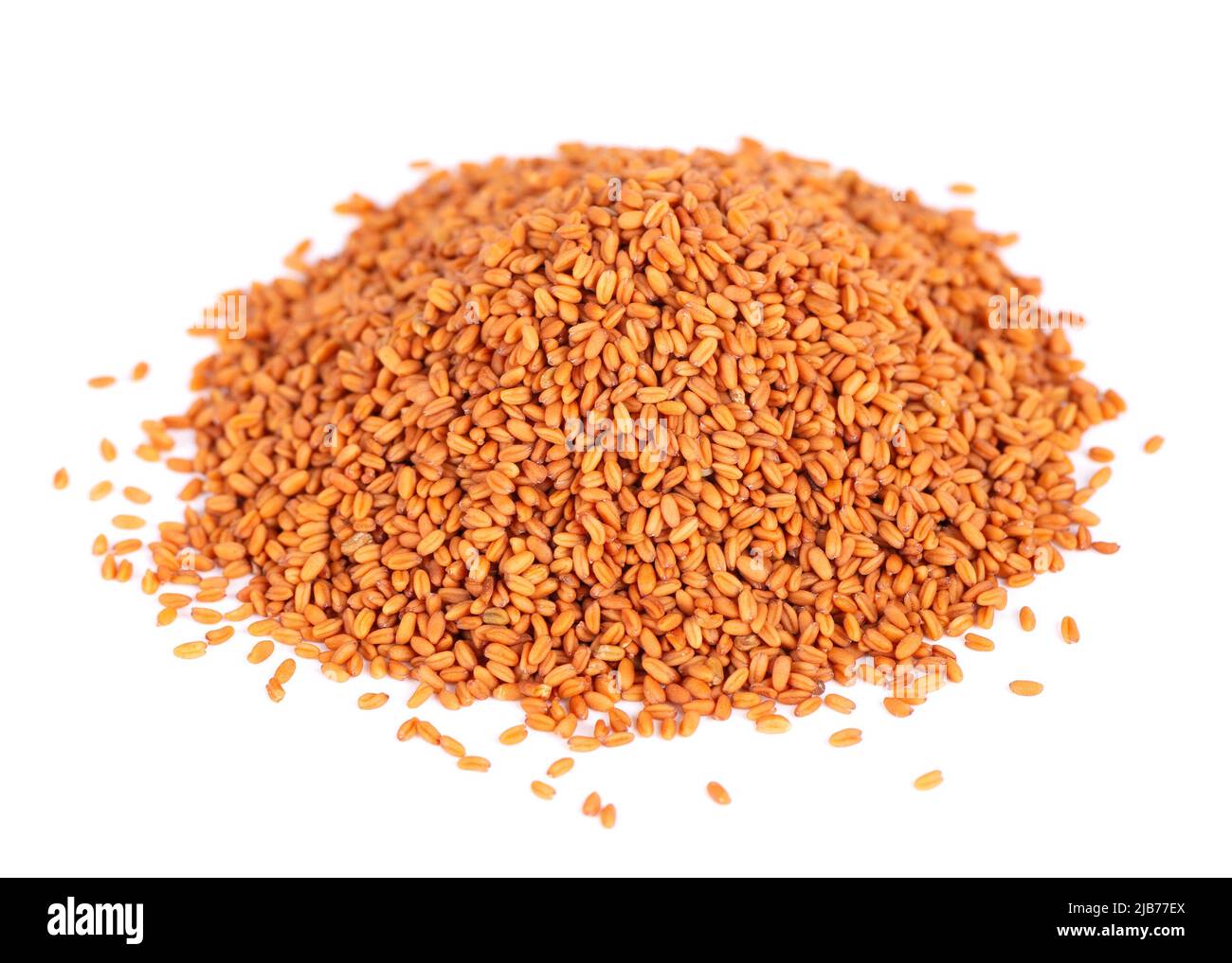 Camelina sativa seeds isolated on white background. Seeds of camelina or false flax. Raw material for the production of camelina oil Stock Photo