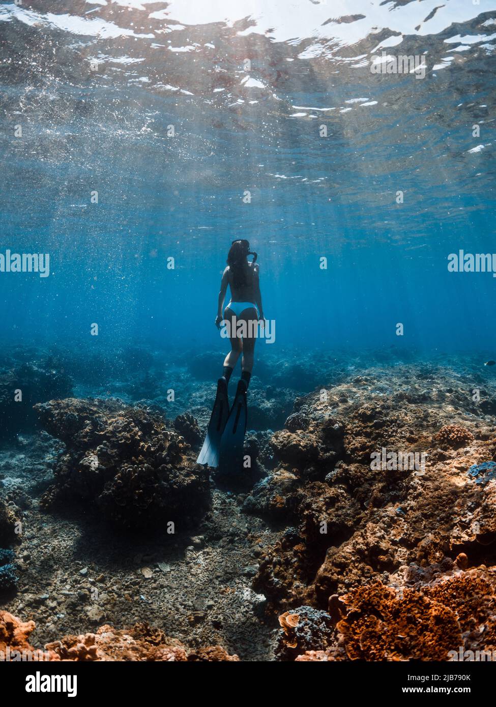 Woman with freediving fins underwater in ocean at Oahu island Stock