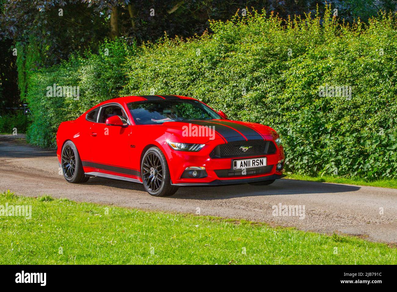 2017 red Ford Mustang with black bonnet stripes, 4951cc 6 speed manual, arriving in Worden Park Motor Village for the Leyland Festival, UK Stock Photo