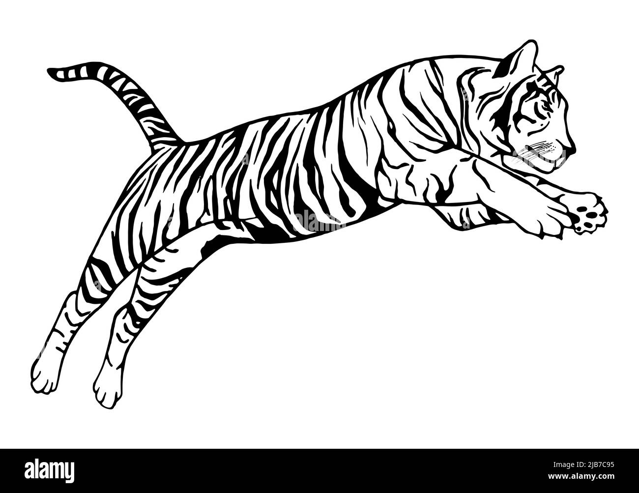 Jumping tiger - vector tattoo, hand-drawn illustration. Japanese chinese vector design set tiger 2022. New year 2022 chinese symbol. Stock Vector
