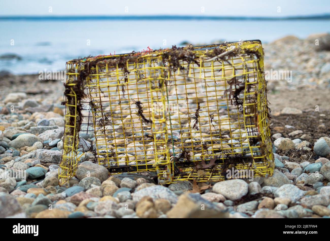 A perspective view of a washed up Lobster Cage on Beach at Gooseberry Island, Westport, MA, USA Stock Photo
