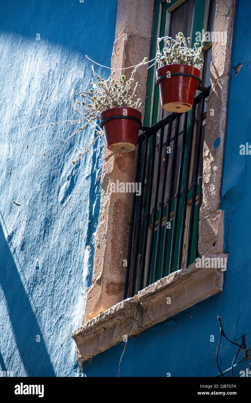 Two terra-cotta pots filled with succulent plants hanging on a black wrought iron balcony window gate. Stock Photo