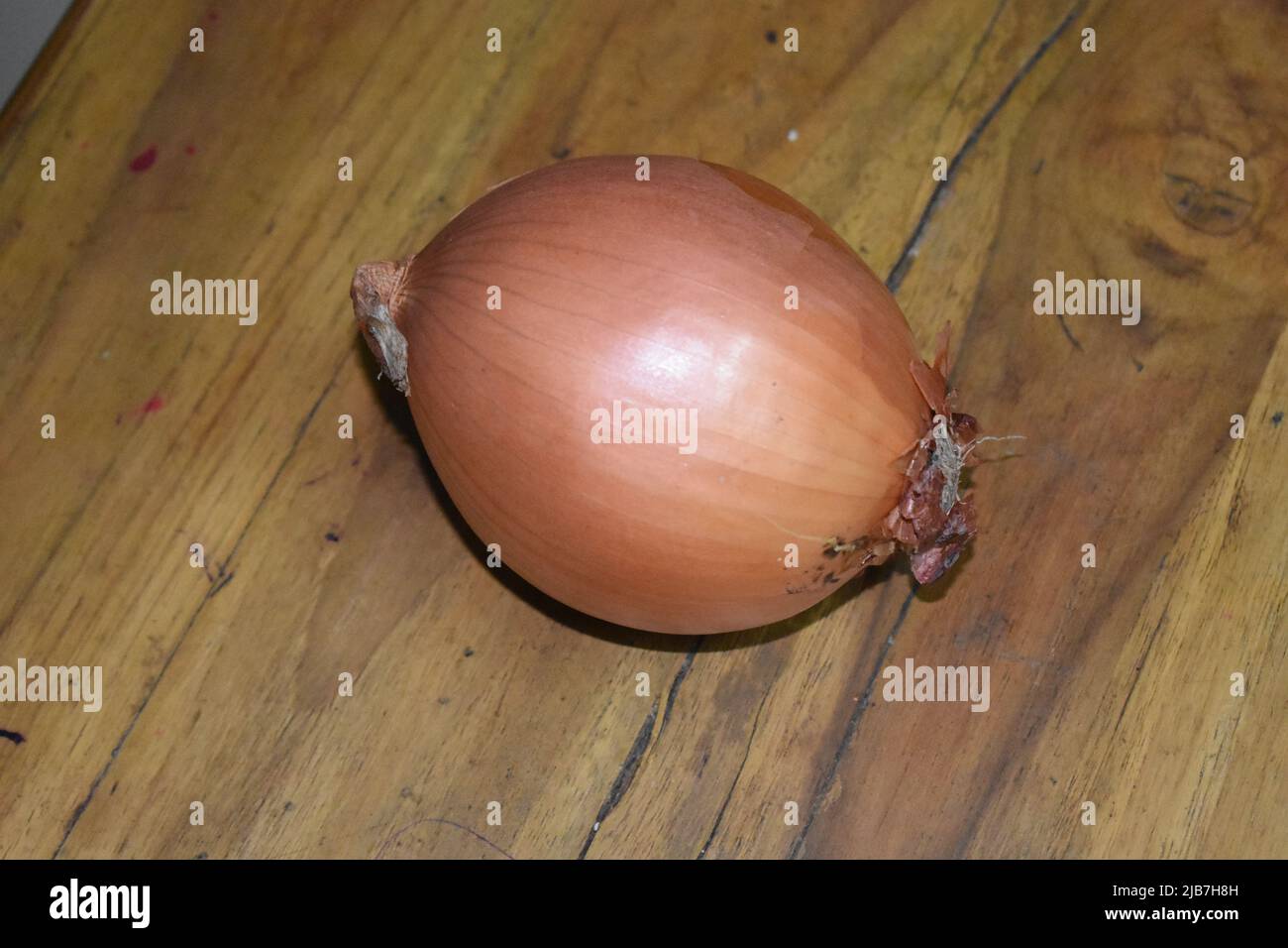 Onion Stock Photo