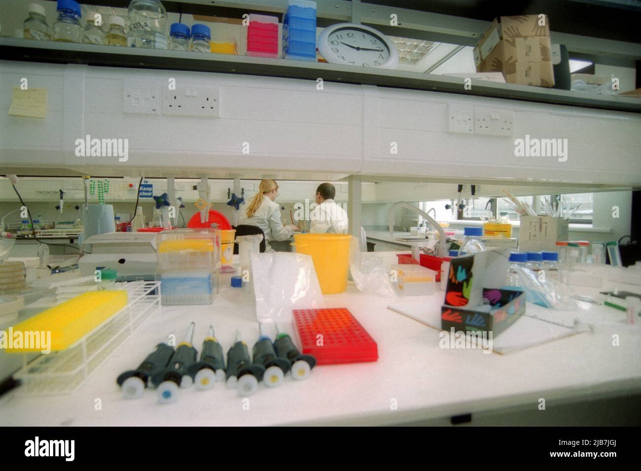 Scientists work in a hospital clinical laboratory Stock Photo