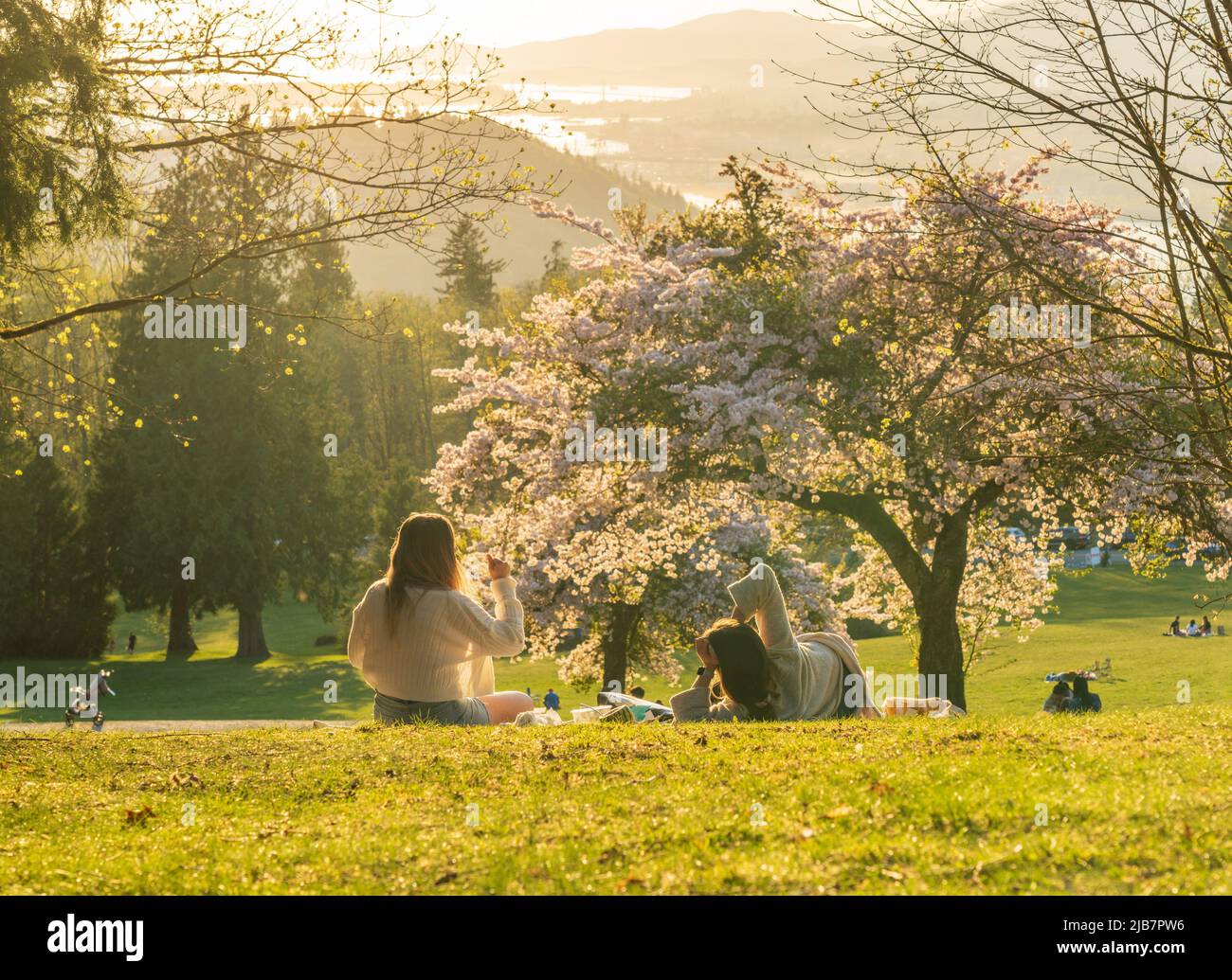 Two young women having a picnic enjoying cherry blossom flowers during springtime. Burnaby