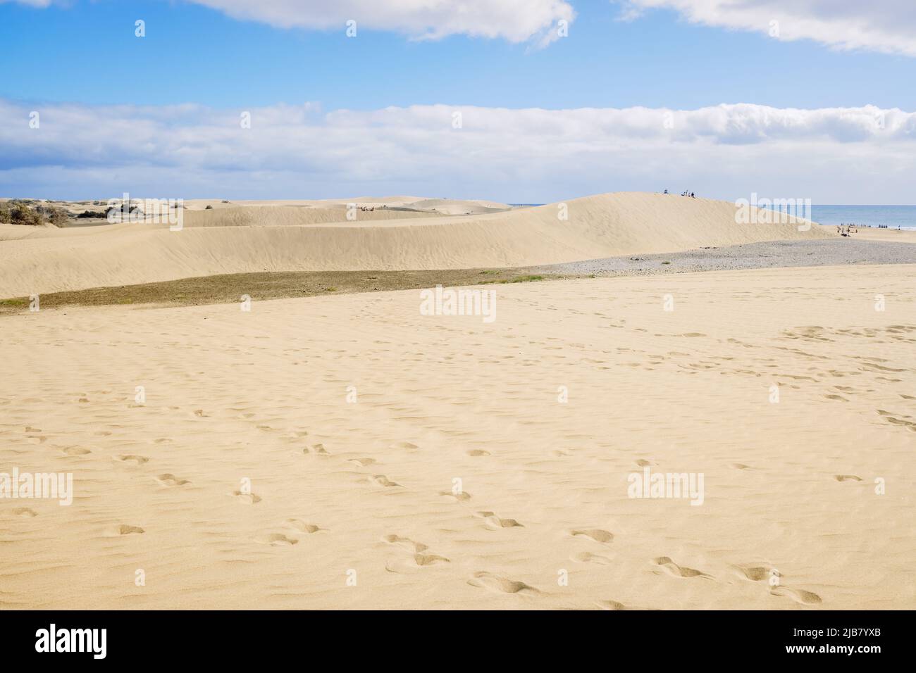 Sand dunes on the Canarian beach of Maspalomas. Stock Photo