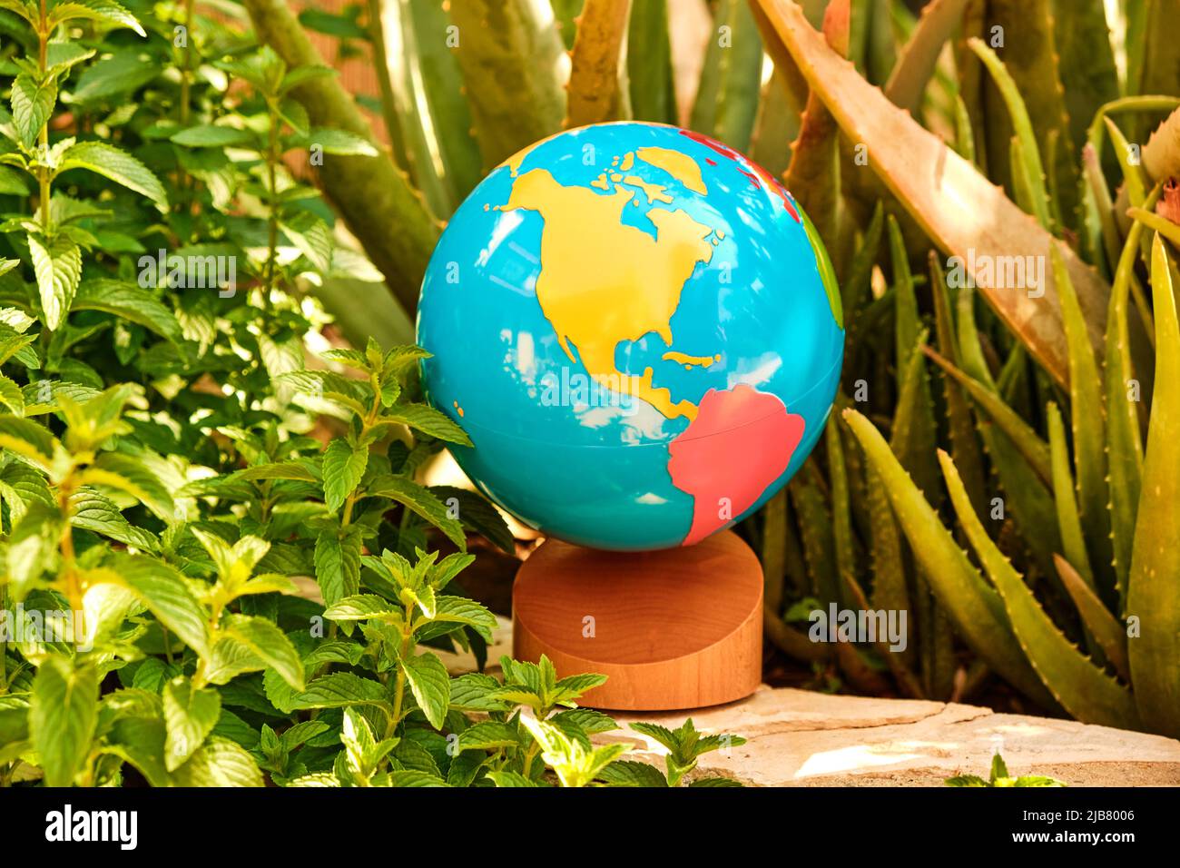 Educational colored globe of the world, among some plants in a garden. Stock Photo