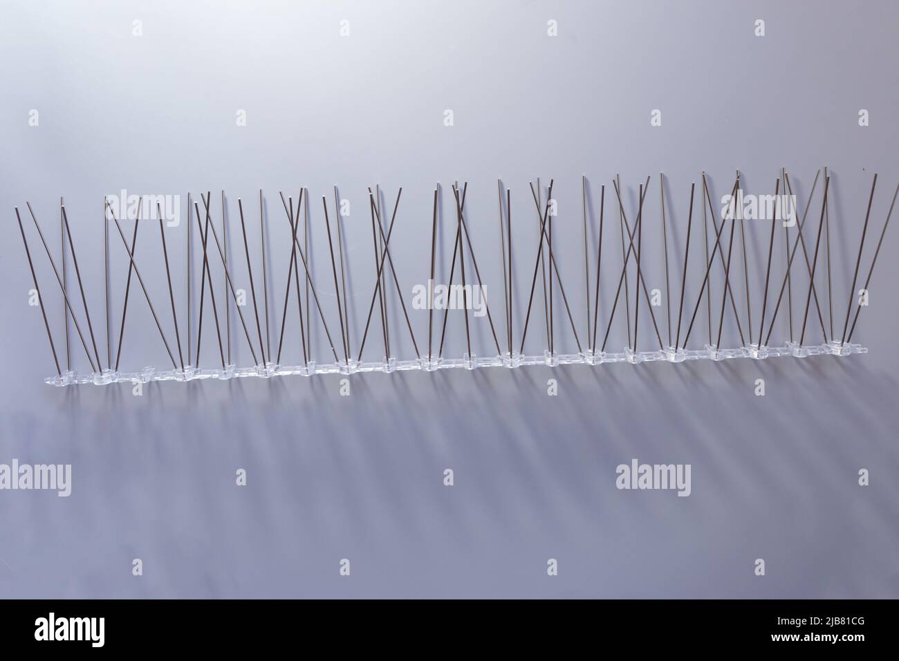 Anti birds hi-res stock photography and images - Alamy