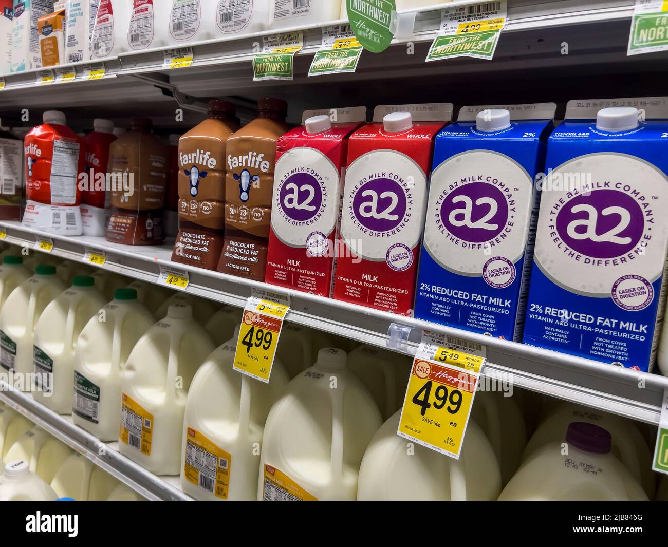 Woodinville, WA USA - circa May 2022: Angled view of a variety of milk products for sale inside the refrigerated section of a Haggen Northwest Fresh g Stock Photo