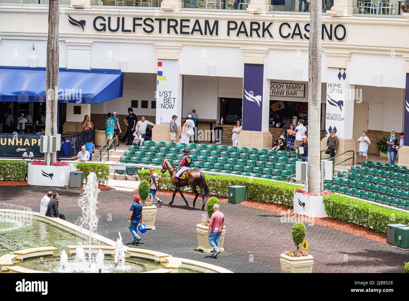 Hallandale Florida Miami,Gulfstream Park racetrack racecourse thoroughbred horse racing track,paddock walking ring horses Stock Photo