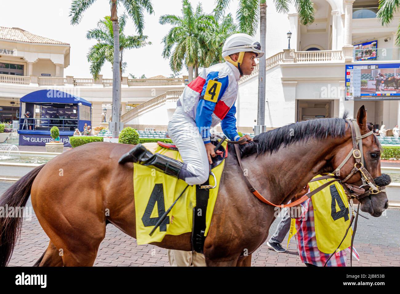 Hallandale Florida Miami,Gulfstream Park racetrack racecourse thoroughbred horse racing track,pre-race warm up paddock walking ring groom stable boy h Stock Photo