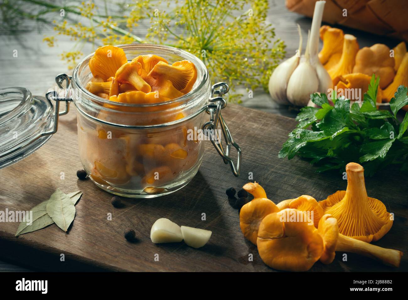 Preserving chanterelle mushrooms in a jar with spices and herbs. Pickling wild edible mushrooms Stock Photo