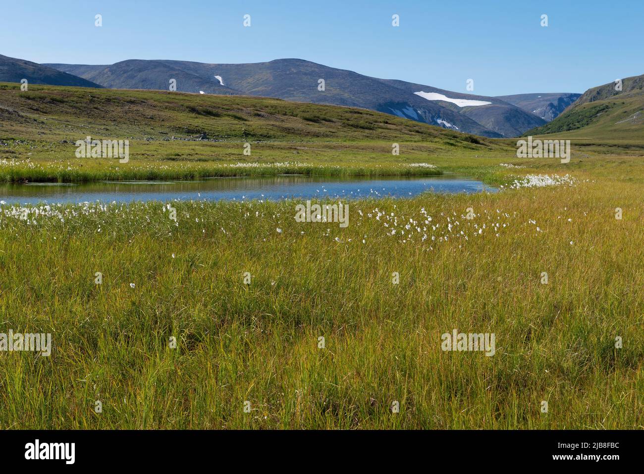 Sunny August day in the foothills of the Polar Urals. Yamalo-Nenets Autonomous Okrug, Russia Stock Photo