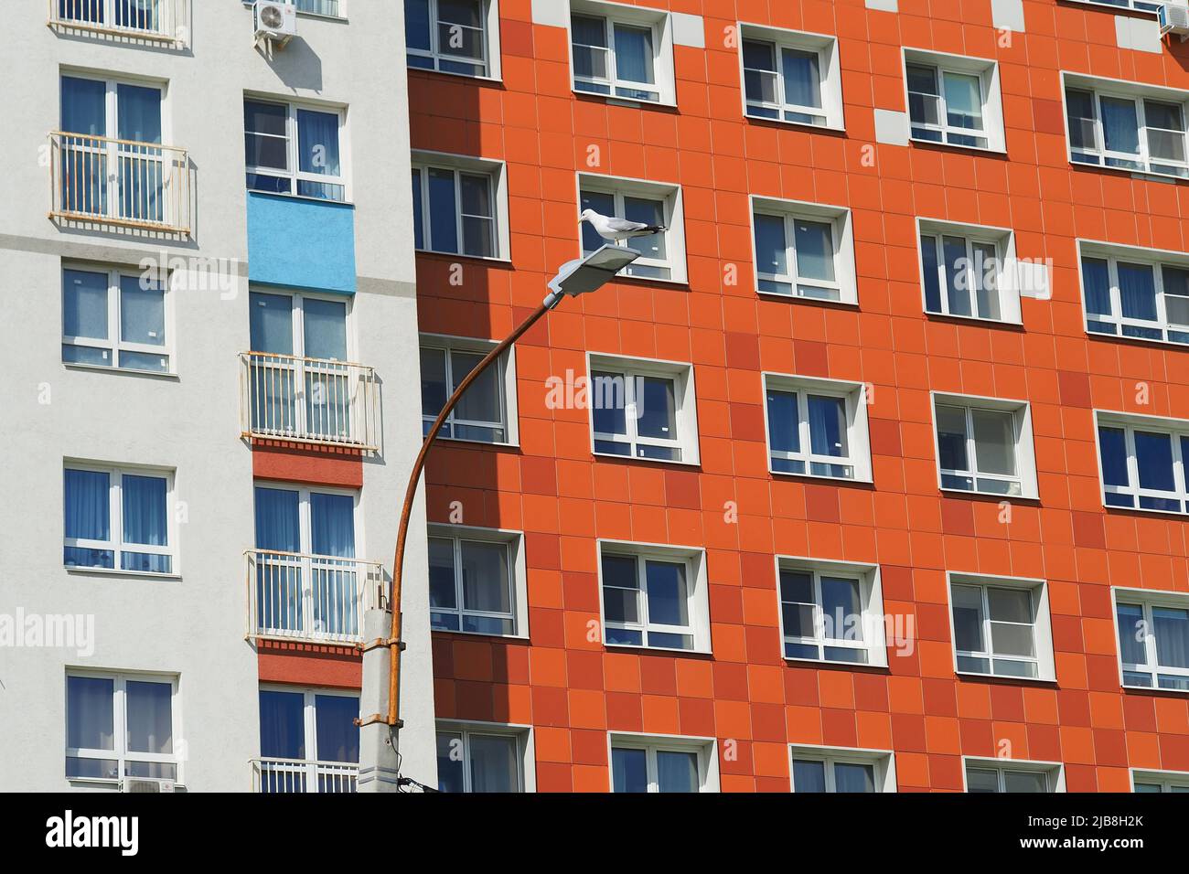 Modern high-rise building in a residential complex. Many windows. A seagull sits on a lamppost.  Stock Photo