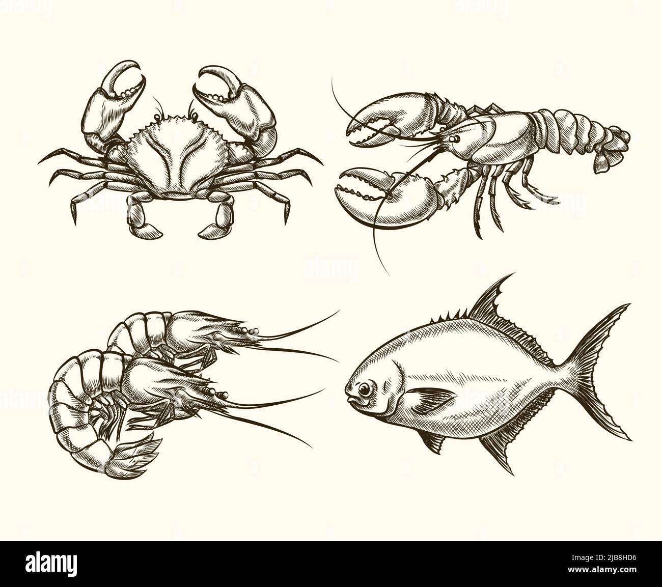 Vector seafood in hand drawn style. Ocean crab, cancer vintage, fish ...