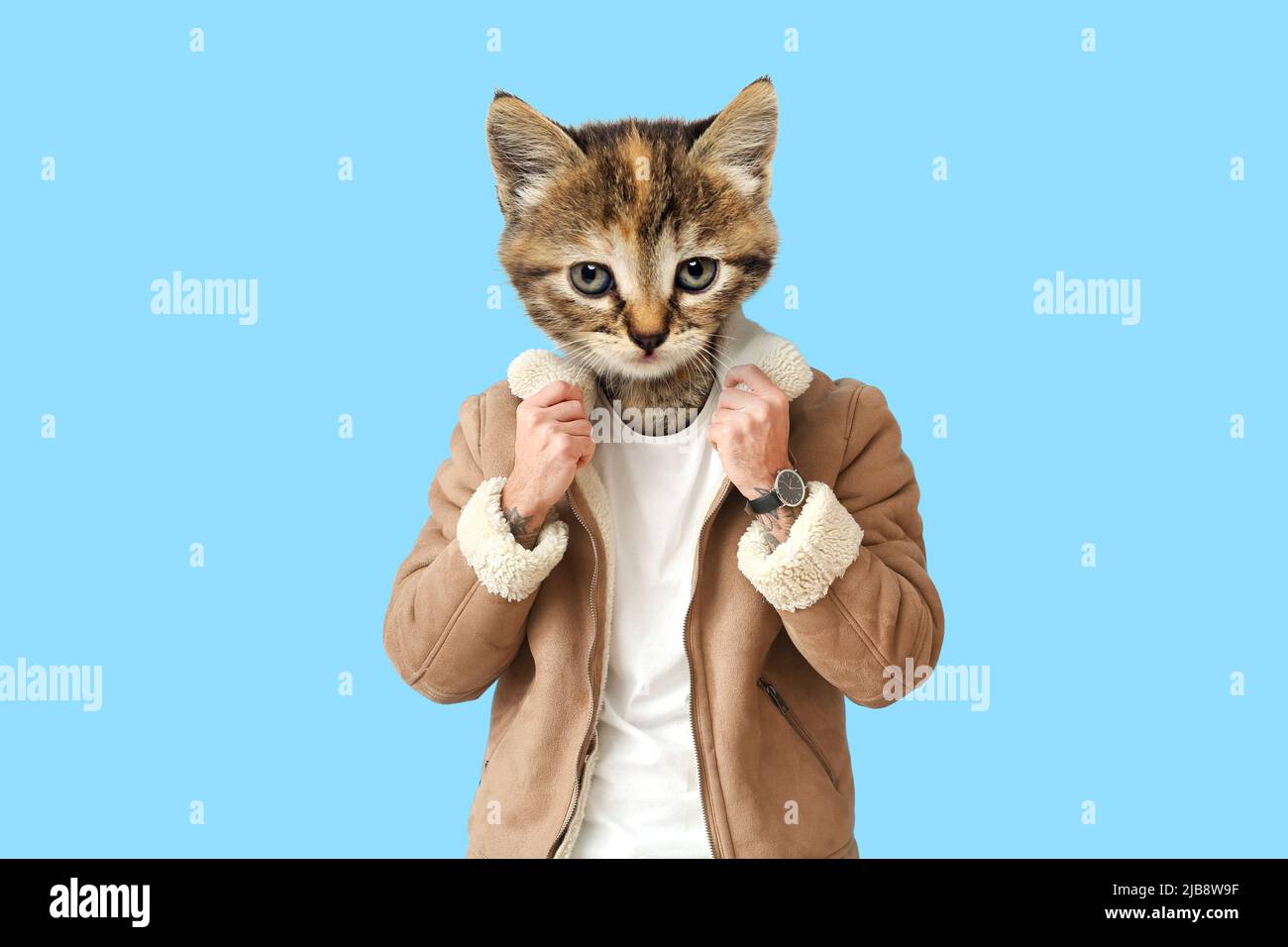 Cute stylish cat with human body on light blue background Stock Photo