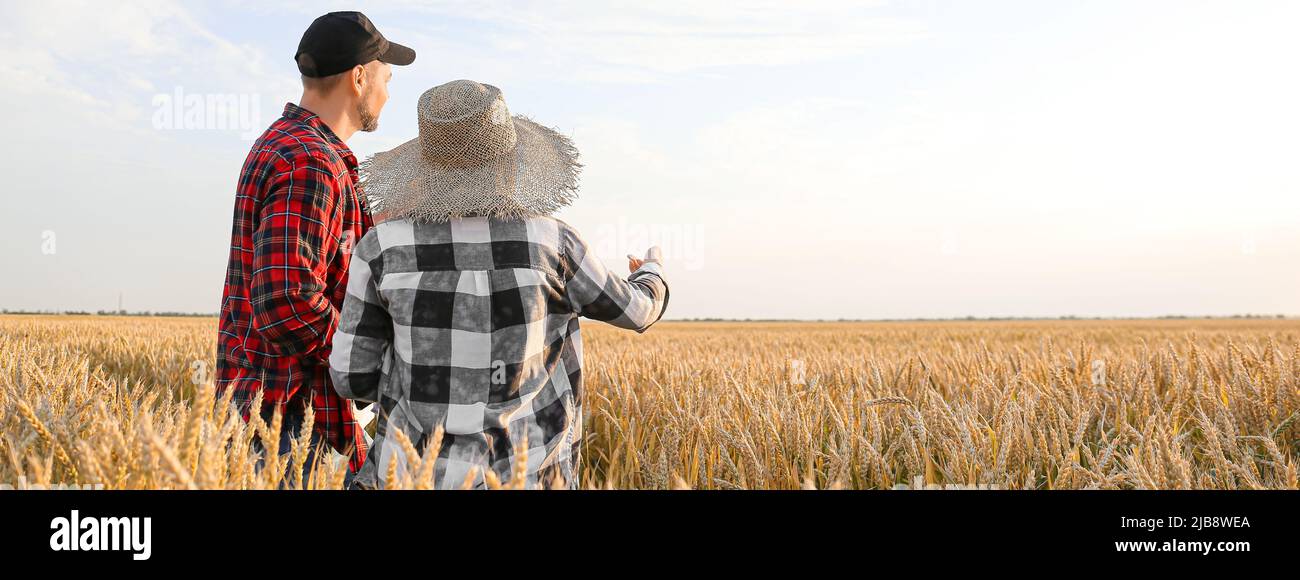 Farmers in field on sunny day. Banner for design Stock Photo - Alamy