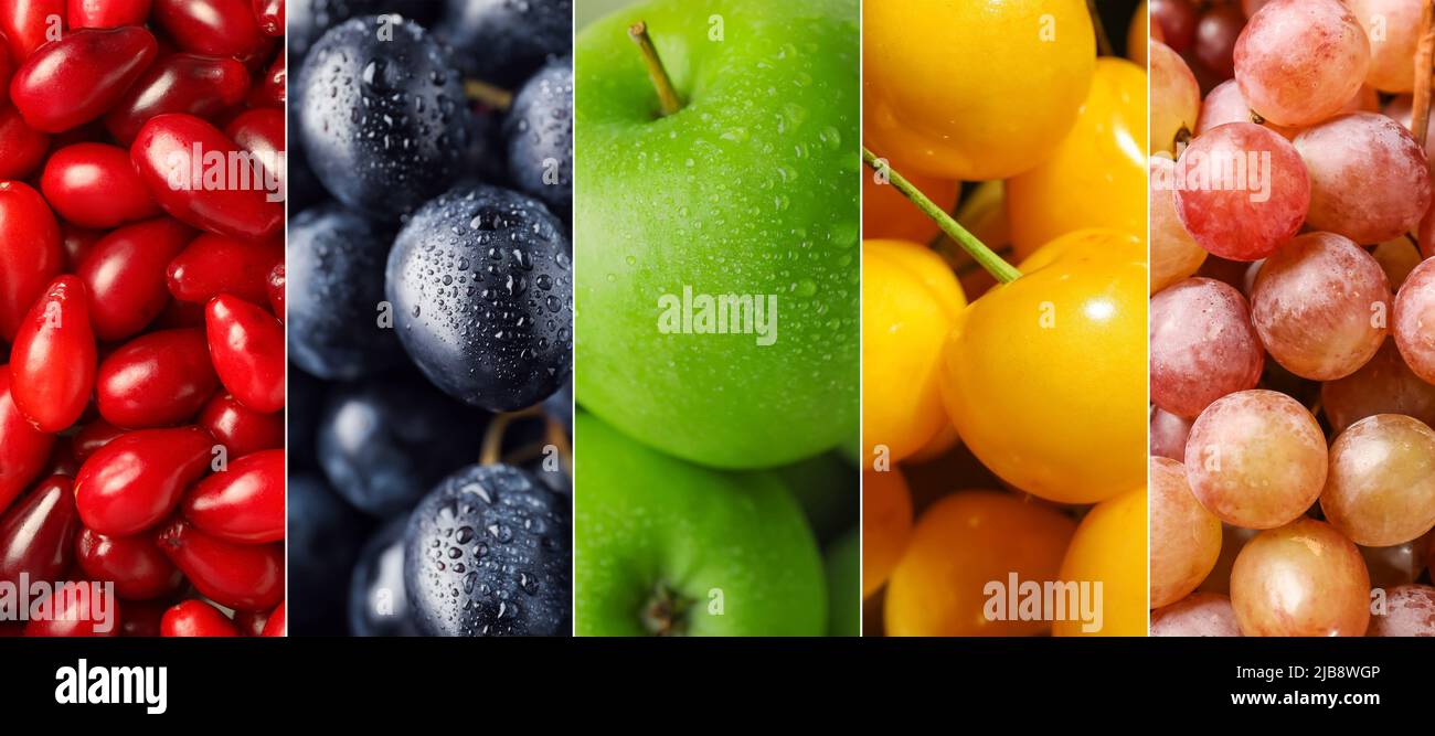 Ripe fruits red dogwood hi-res stock photography and images - Alamy