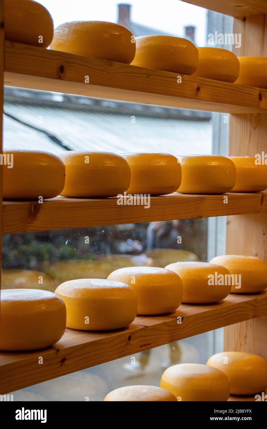 Dutch cheese on shelves in a show-case in Amsterdam. Stock Photo