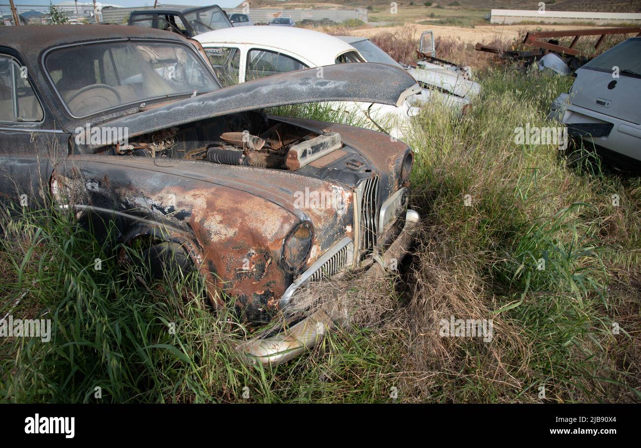 Car junkyard with wreck of a destroyed cars. Environmental pollution metal recycling Stock Photo