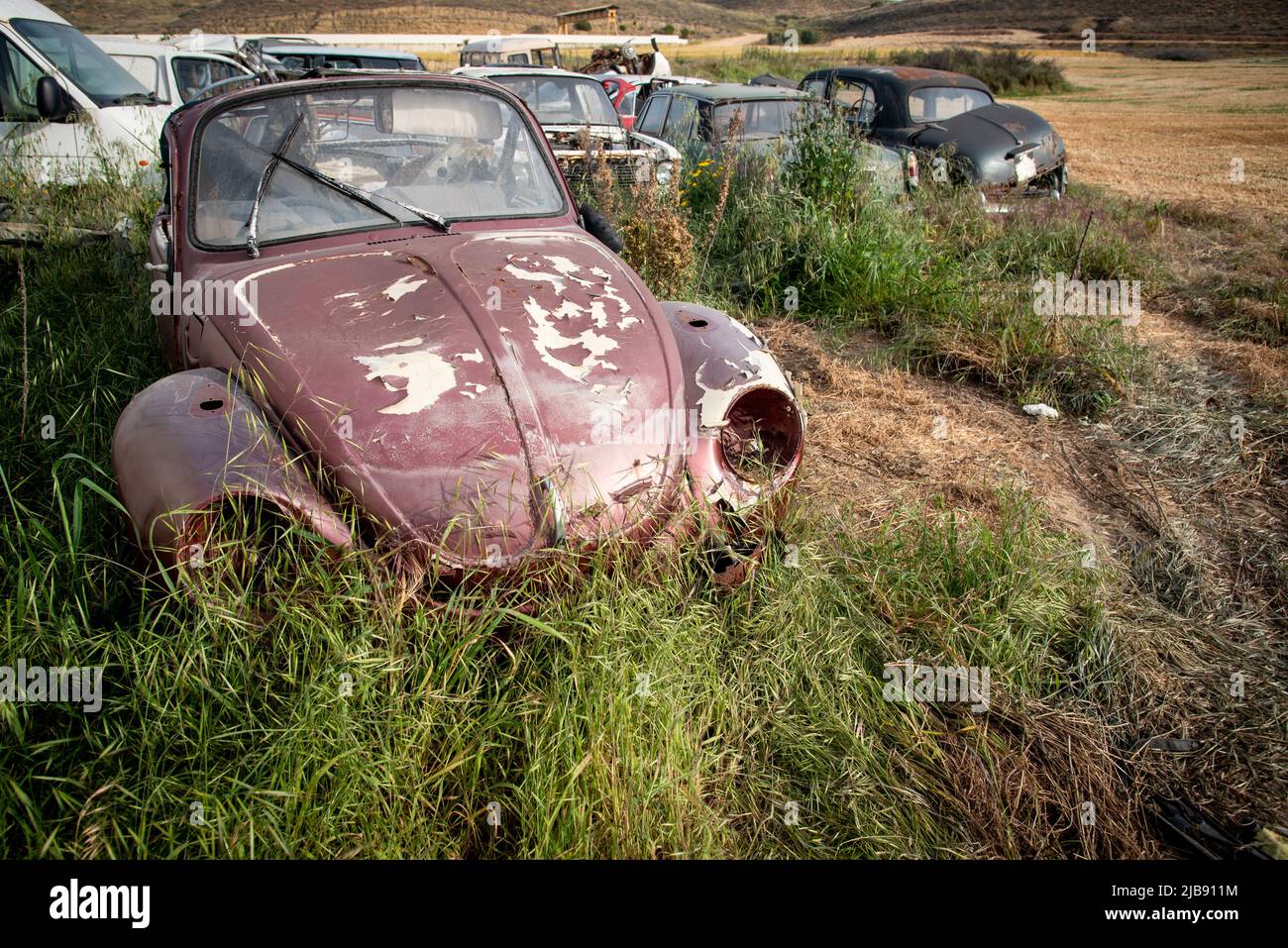 Car junkyard with wreck of a destroyed cars. Environmental pollution metal recycling. Stock Photo