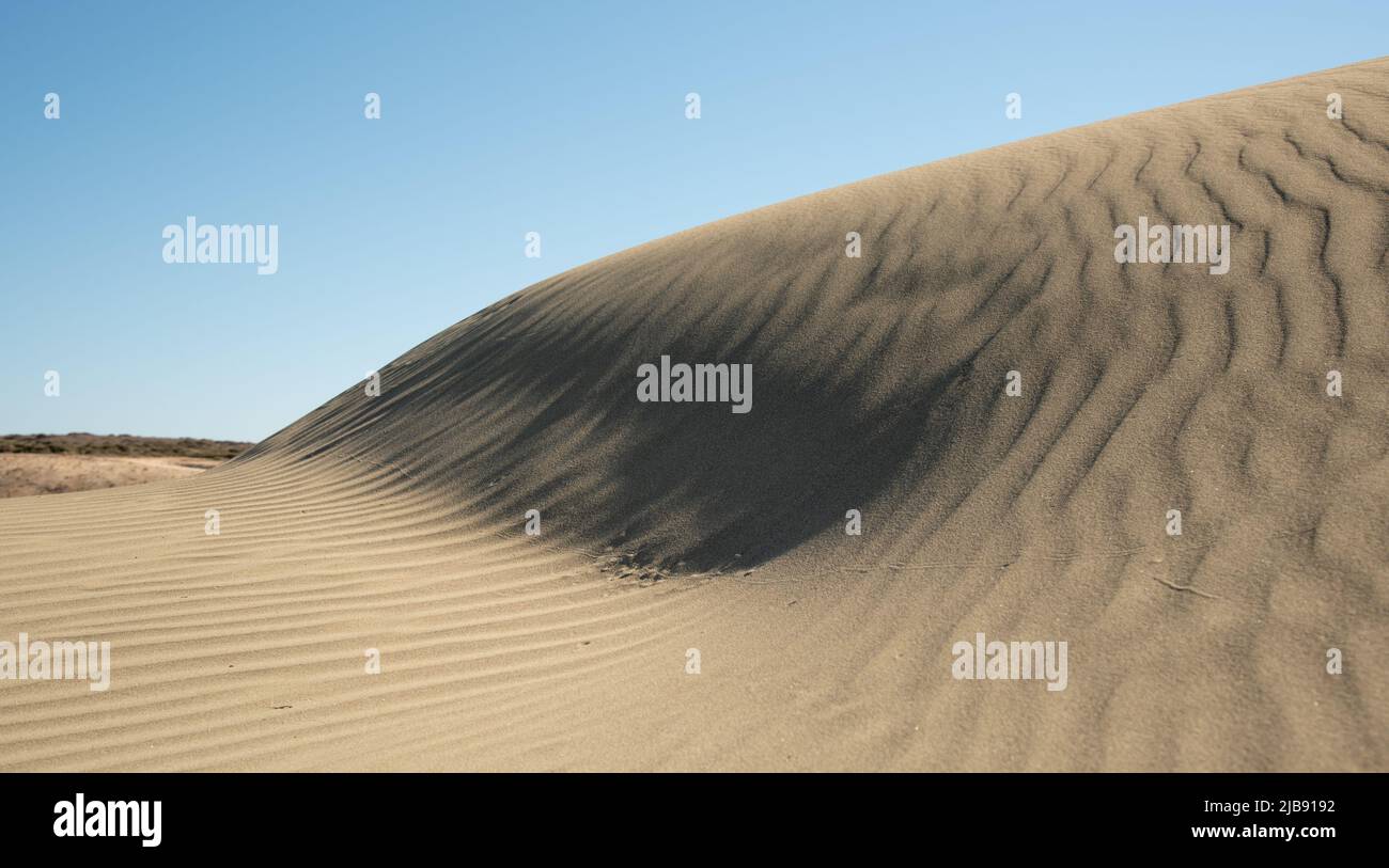 Sand dunes against blue sky. Desert dry coast land Cyprus Stock Photo