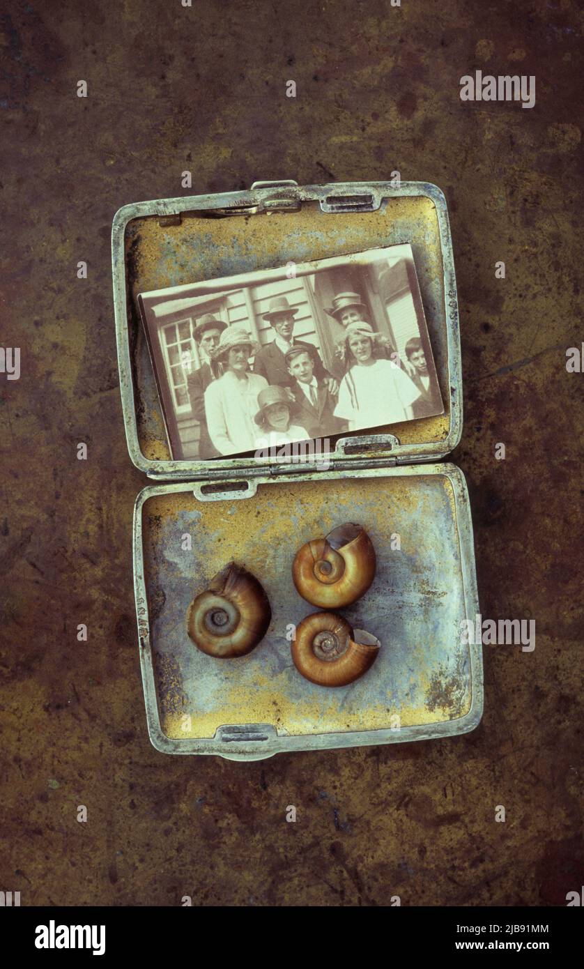 Small tin box containing three Ramshorn snail shells and sepia photo of eight members of 1920s family standing outside house Stock Photo