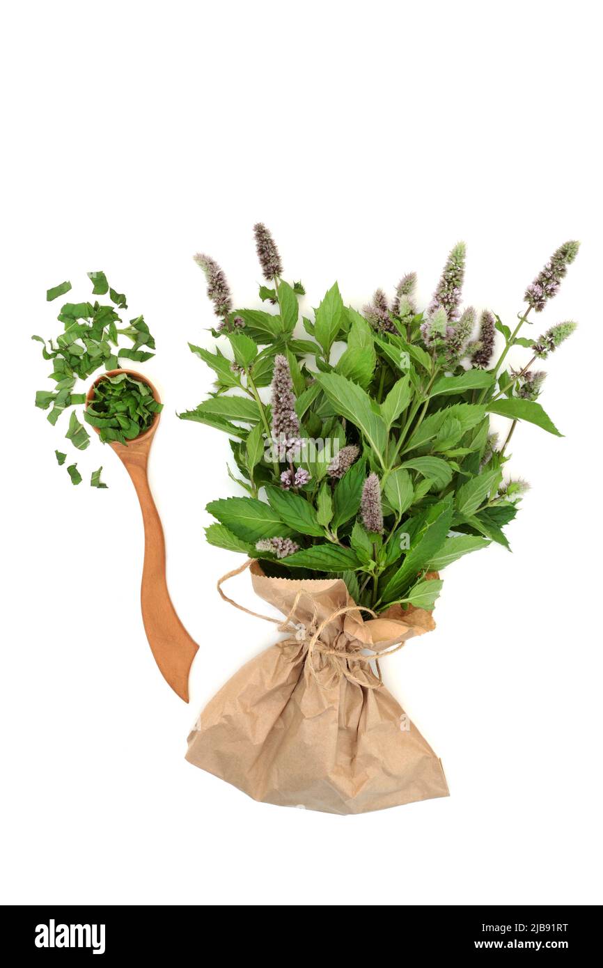 Peppermint herb leaves in a bunch in brown paper bag and spoon