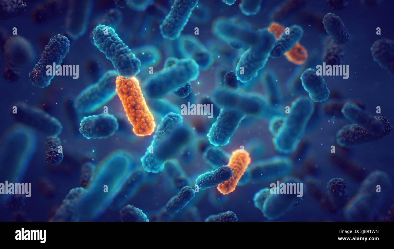 Antimicrobial Resistance (AMR) occurs when bacteria change over time and no longer respond to medicines. Genetic mutation in bacteria Stock Photo