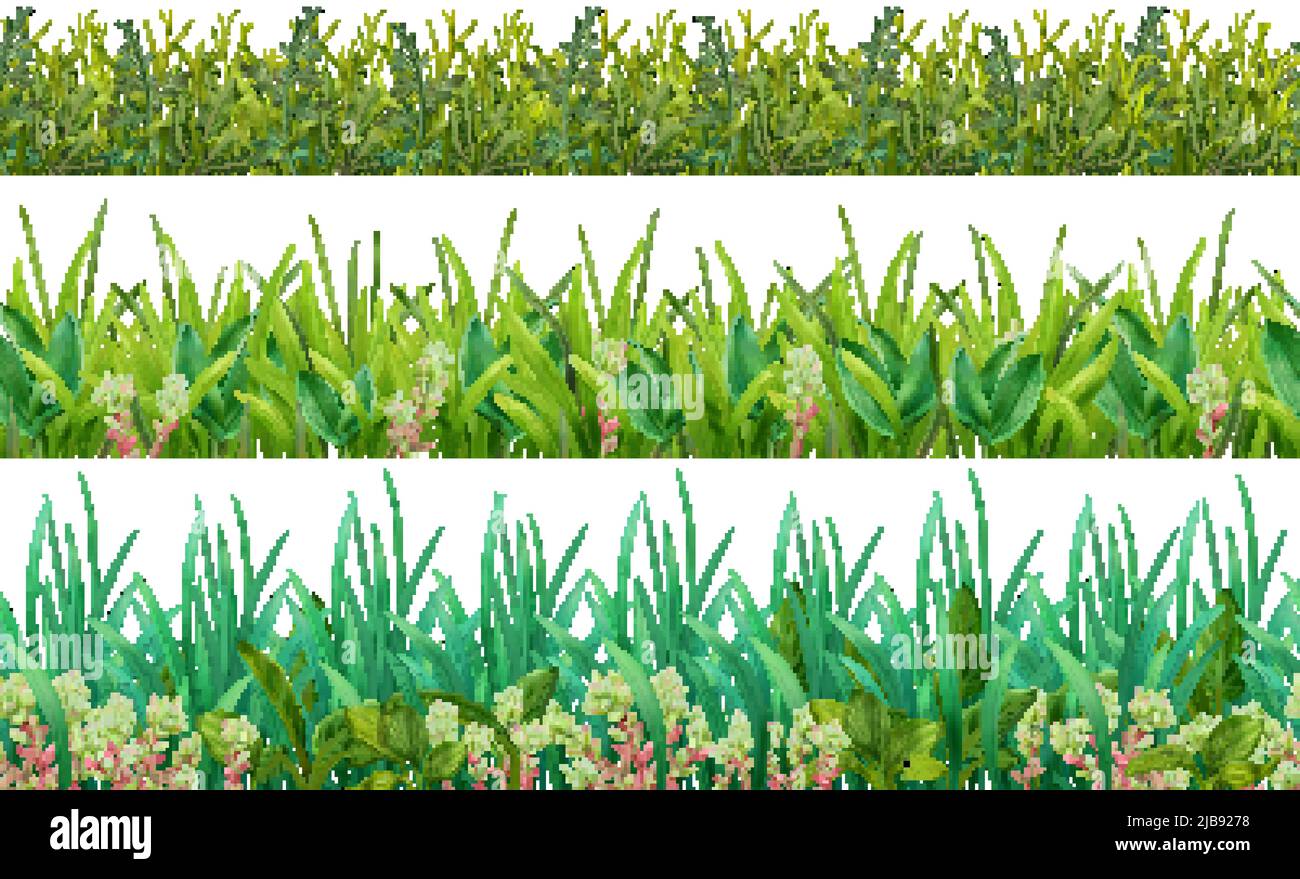 Realistic grass shades of green leaves foliage plants 3 horizontal decorative seamless patterns set isolated vector illustration Stock Vector